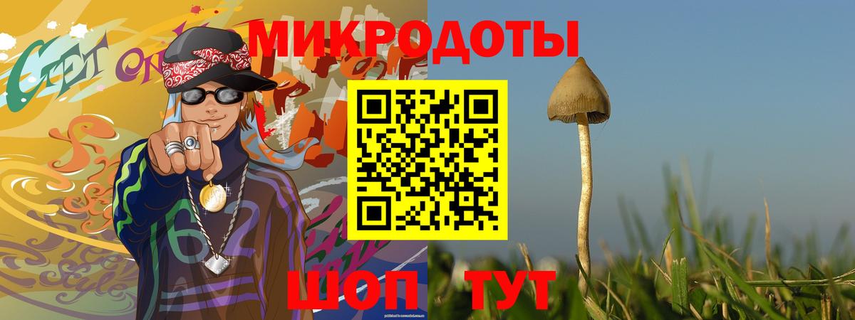 Псилоцибиновые грибы GOLDEN TEACHER  Галлюциногенные грибы мицелий  Вход с VPN  Южноуральск 